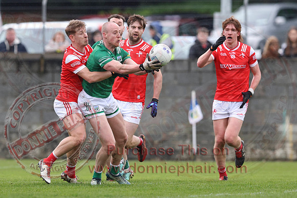 Louth (6-17) V Fermanagh (0-11) in National GAA Football League Division Two-20