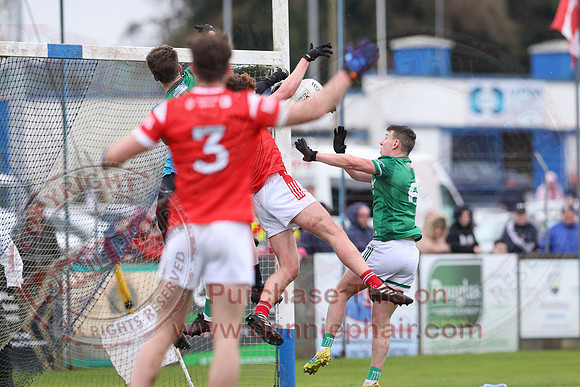 Louth (6-17) V Fermanagh (0-11) in National GAA Football League Division Two-27