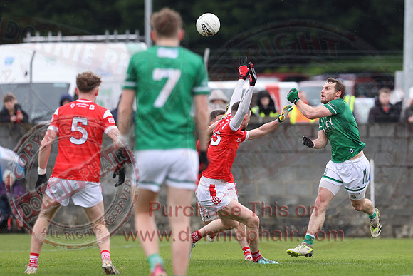 Louth (6-17) V Fermanagh (0-11) in National GAA Football League Division Two-28