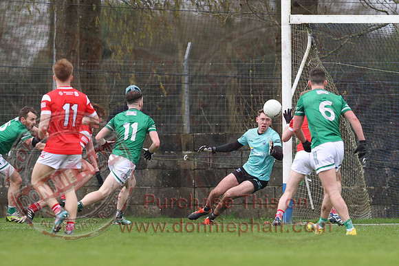 Louth (6-17) V Fermanagh (0-11) in National GAA Football League Division Two-33