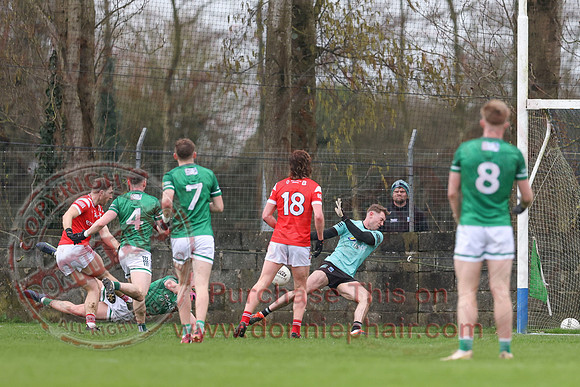Louth (6-17) V Fermanagh (0-11) in National GAA Football League Division Two-37