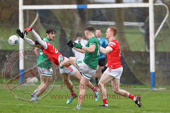 Louth (6-17) V Fermanagh (0-11) in National GAA Football League Division Two-38