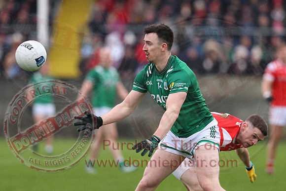 Louth (6-17) V Fermanagh (0-11) in National GAA Football League Division Two-40