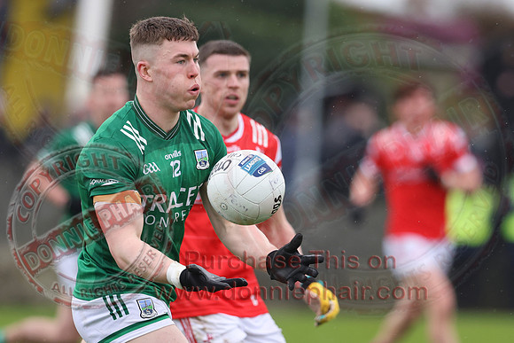 Louth (6-17) V Fermanagh (0-11) in National GAA Football League Division Two-39