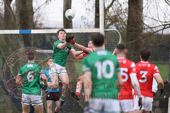 Louth (6-17) V Fermanagh (0-11) in National GAA Football League Division Two-41
