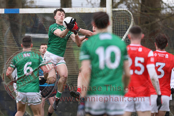 Louth (6-17) V Fermanagh (0-11) in National GAA Football League Division Two-42