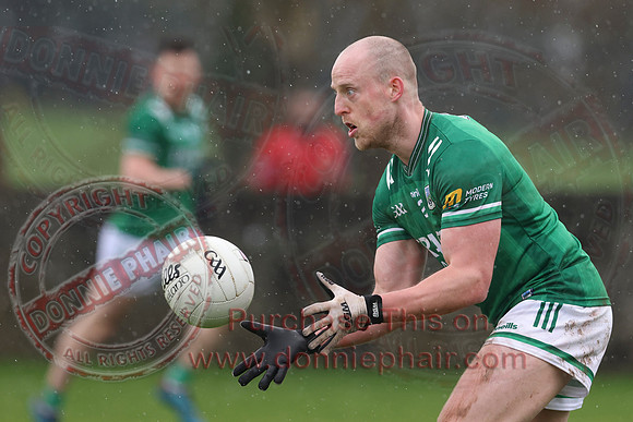 Louth (6-17) V Fermanagh (0-11) in National GAA Football League Division Two-44