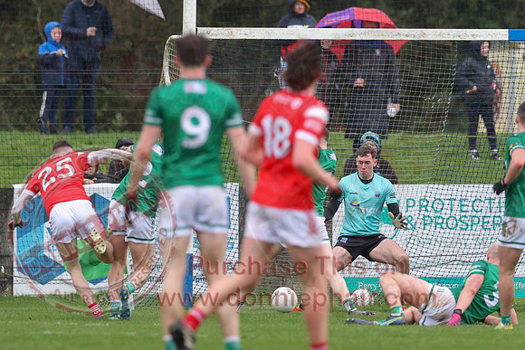 Louth (6-17) V Fermanagh (0-11) in National GAA Football League Division Two-48