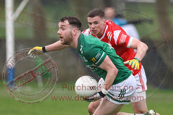 Louth (6-17) V Fermanagh (0-11) in National GAA Football League Division Two-51