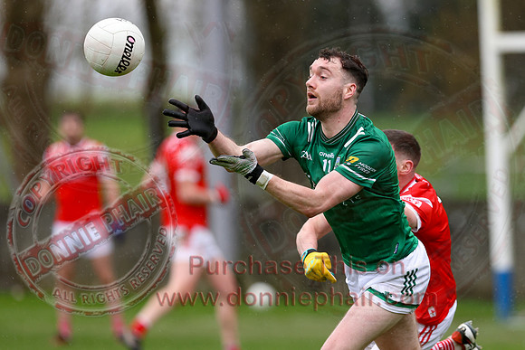 Louth (6-17) V Fermanagh (0-11) in National GAA Football League Division Two-52