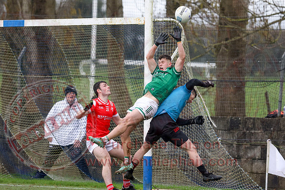 Louth (6-17) V Fermanagh (0-11) in National GAA Football League Division Two-53