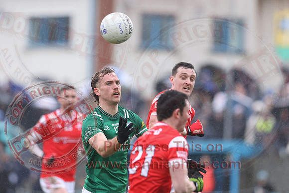 Louth (6-17) V Fermanagh (0-11) in National GAA Football League Division Two-55
