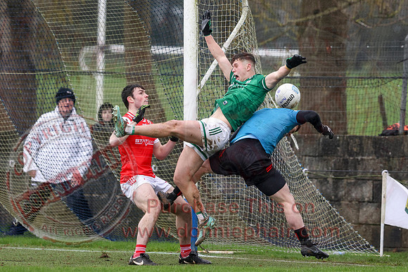 Louth (6-17) V Fermanagh (0-11) in National GAA Football League Division Two-54
