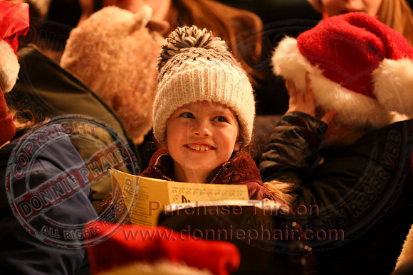 Lisbellaw Christmas Lights-1