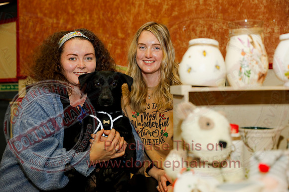 Christmas Fair in aid of Bright Eyes Animal Sanctuary-3