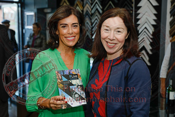 Fermanagh Live Arts Festival Launch at Devenish Gallery, Enniskillen-3