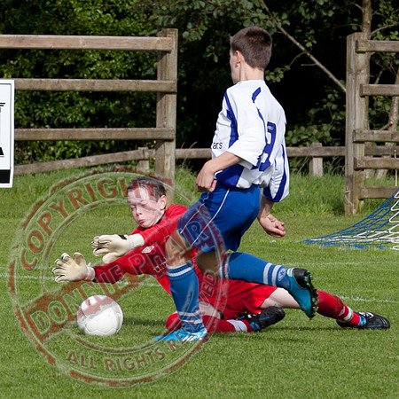 Ballinamallard V Linfield.