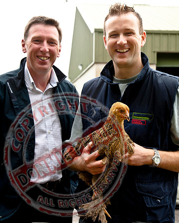 Fermanagh County Fair in Enniskillen.