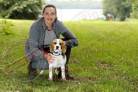 Dog Walking Club in Castle Archdale-1