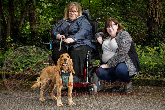 Dog Walking Club in Castle Archdale-8