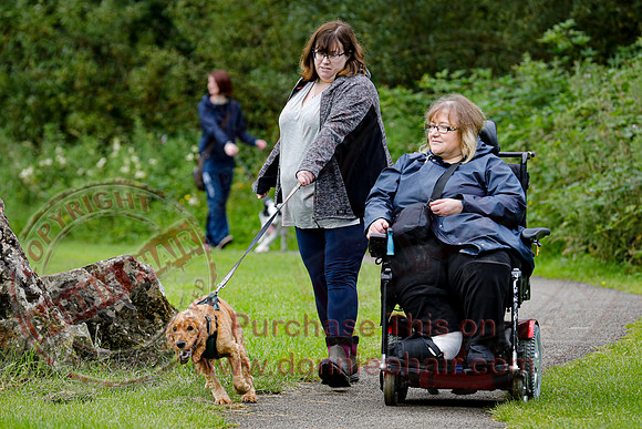 Dog Walking Club in Castle Archdale-9