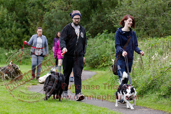 Dog Walking Club in Castle Archdale-12