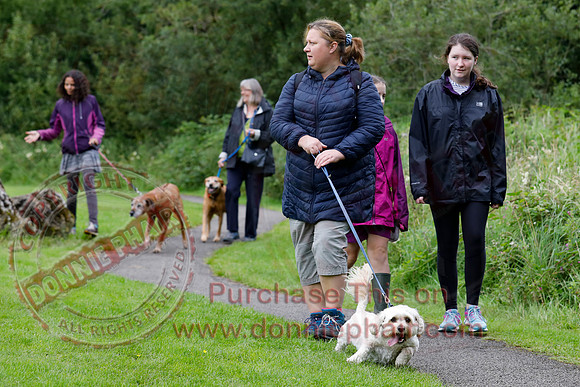 Dog Walking Club in Castle Archdale-13