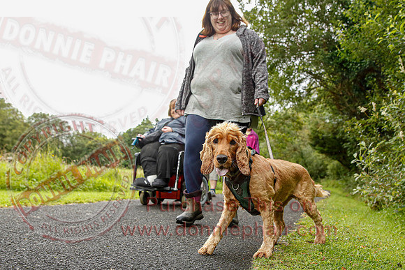 Dog Walking Club in Castle Archdale-17