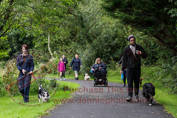 Dog Walking Club in Castle Archdale-18
