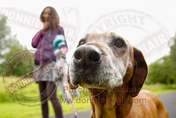 Dog Walking Club in Castle Archdale-19