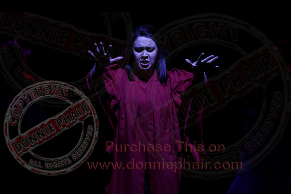 Bonnie & Clyde performed by Fermanagh Musical Theatre-154
