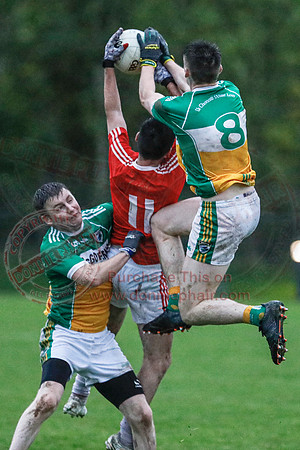 Derrylin (0-11) V Newtownbutler (0-05) (Abandoned) in Junior GAA Football Championship Semi-Final-8
