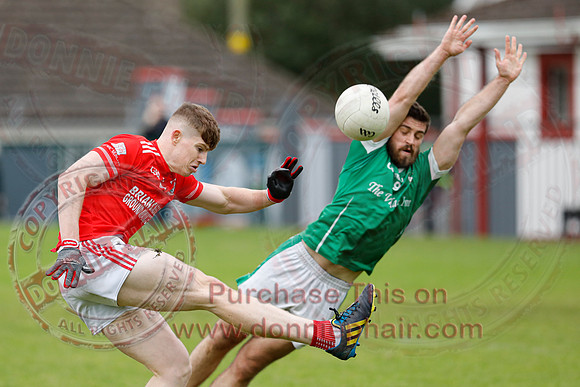 Roslea (0-07) V Belnaleck (0-05) in Senior GAA Football Championship Relegation Semi-Final-8
