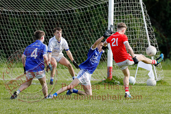 Newtownbutler (1-17) V Kinawley (1-08) in U17 Division 1 GAA Football League Final-35