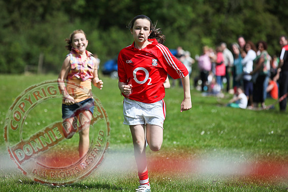 Newtownbutler Festival - Sports Day.