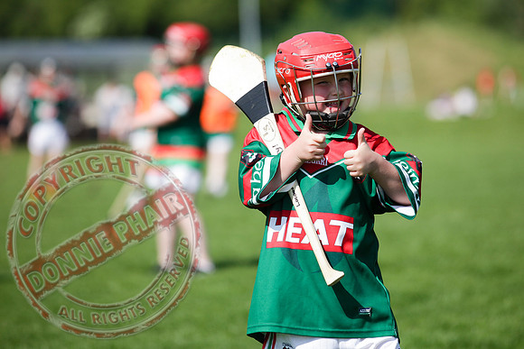 Opening of Lisnaskea GAA Emmetts Second Field - Youth Hurley.