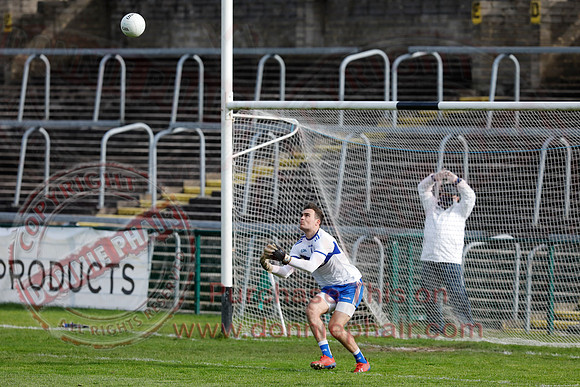Ferrmanagh (1-11)V Laois (3-12) in National GAA Football League Division Two-45