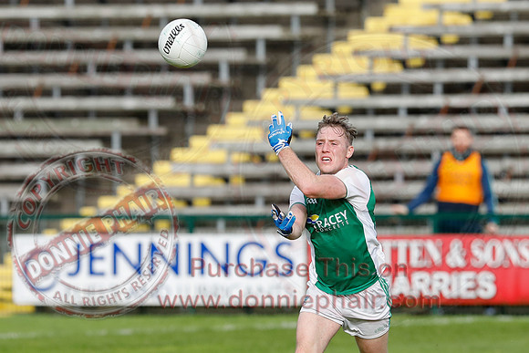 Ferrmanagh (1-11)V Laois (3-12) in National GAA Football League Division Two-53