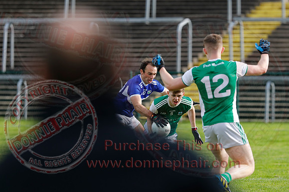 Ferrmanagh (1-11)V Laois (3-12) in National GAA Football League Division Two-58