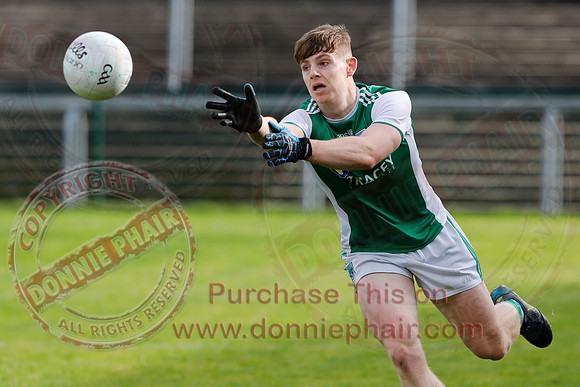 Ferrmanagh (1-11)V Laois (3-12) in National GAA Football League Division Two-61