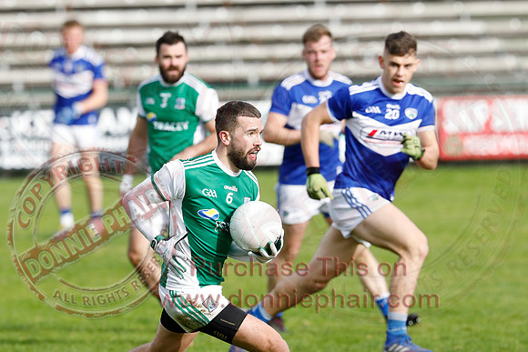 Ferrmanagh (1-11)V Laois (3-12) in National GAA Football League Division Two-64