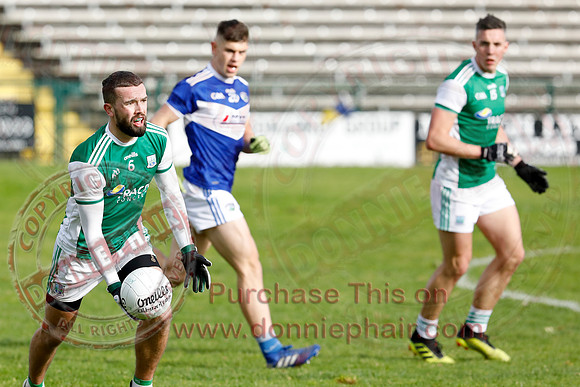Ferrmanagh (1-11)V Laois (3-12) in National GAA Football League Division Two-66