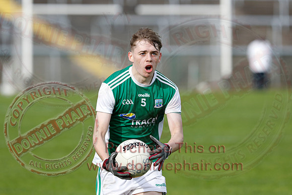 Ferrmanagh (1-11)V Laois (3-12) in National GAA Football League Division Two-78