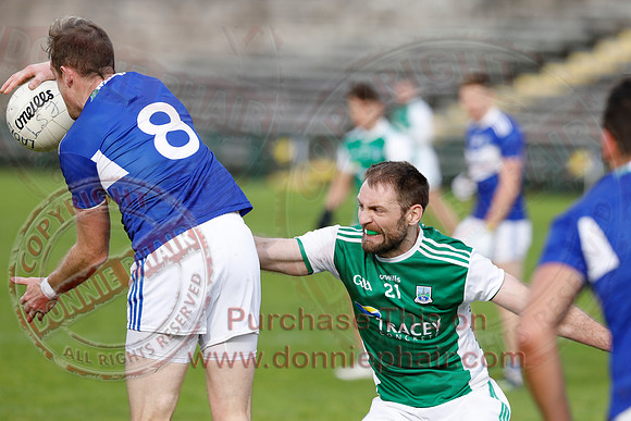 Ferrmanagh (1-11)V Laois (3-12) in National GAA Football League Division Two-81
