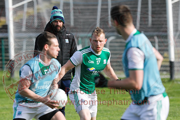 Ferrmanagh (1-11)V Laois (3-12) in National GAA Football League Division Two-3