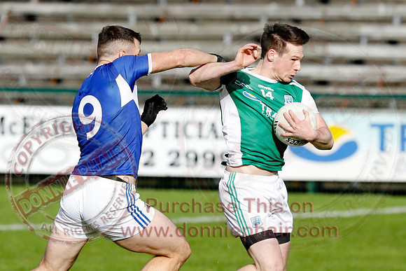 Ferrmanagh (1-11)V Laois (3-12) in National GAA Football League Division Two-9