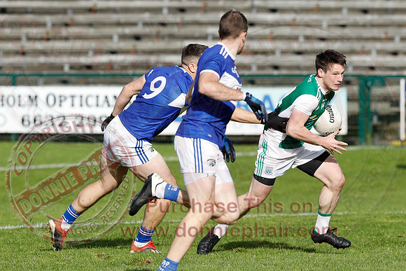 Ferrmanagh (1-11)V Laois (3-12) in National GAA Football League Division Two-11