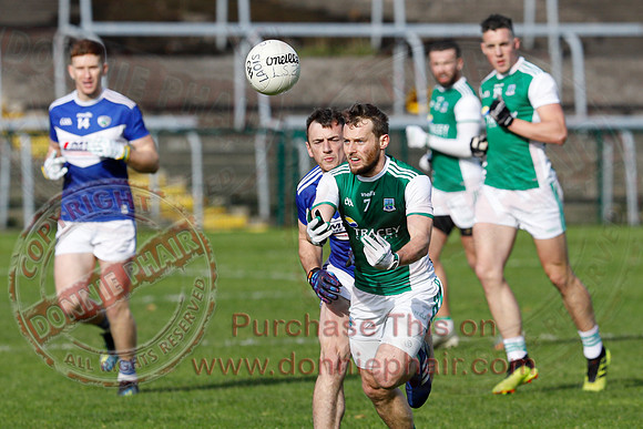Ferrmanagh (1-11)V Laois (3-12) in National GAA Football League Division Two-15