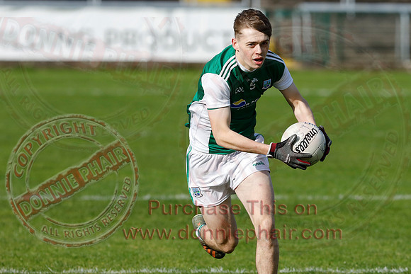 Ferrmanagh (1-11)V Laois (3-12) in National GAA Football League Division Two-22