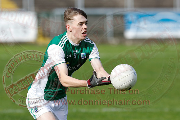 Ferrmanagh (1-11)V Laois (3-12) in National GAA Football League Division Two-25